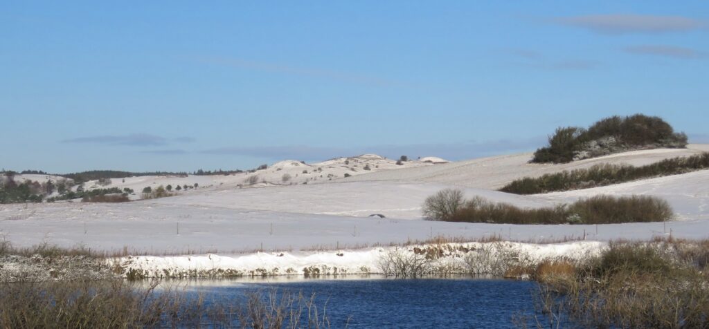 vandreferie vinter
